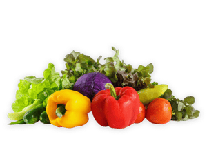 Prodotto-la-Fattoria-La-Fonte